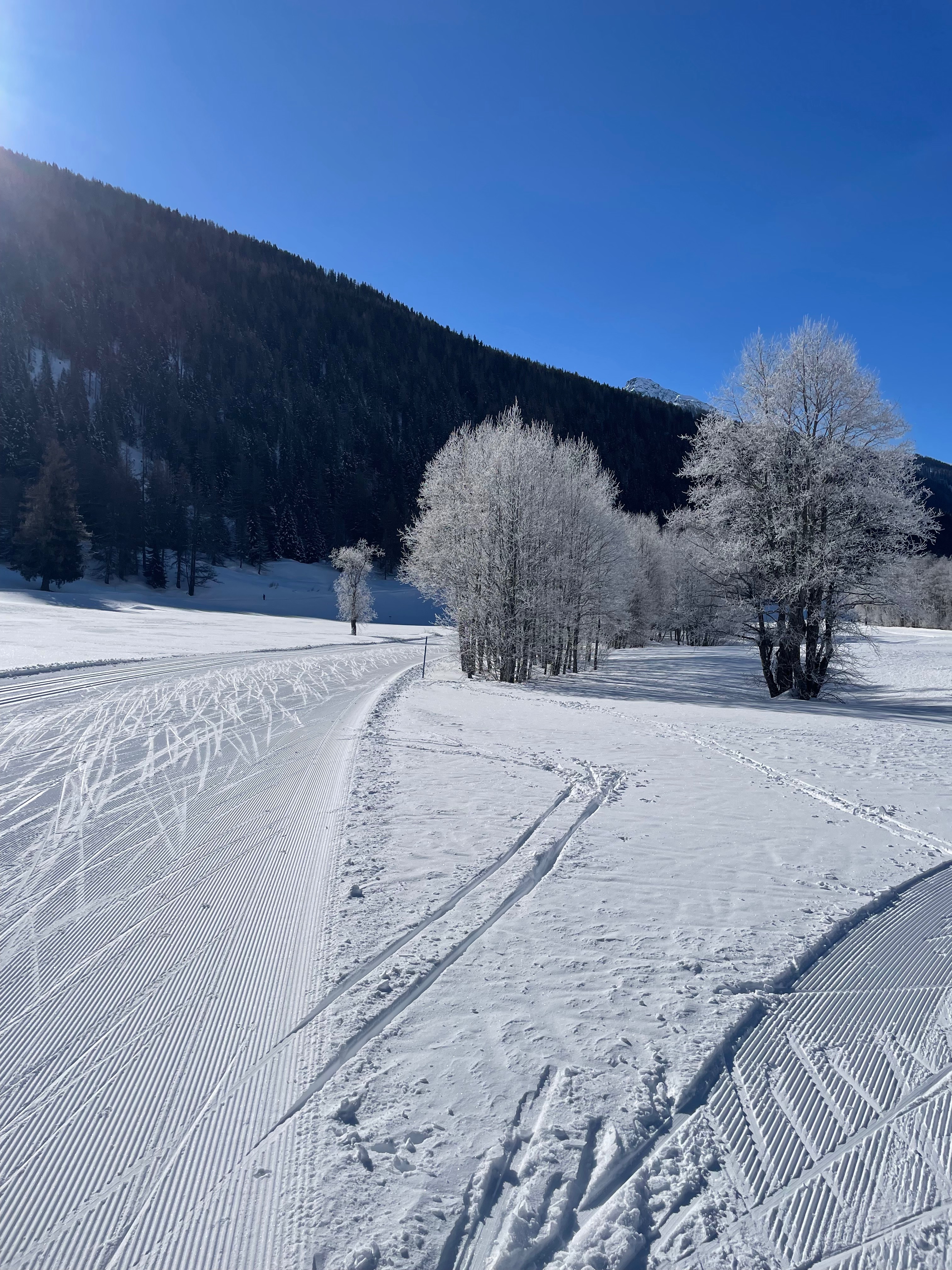 Winterlandschaft im Goms