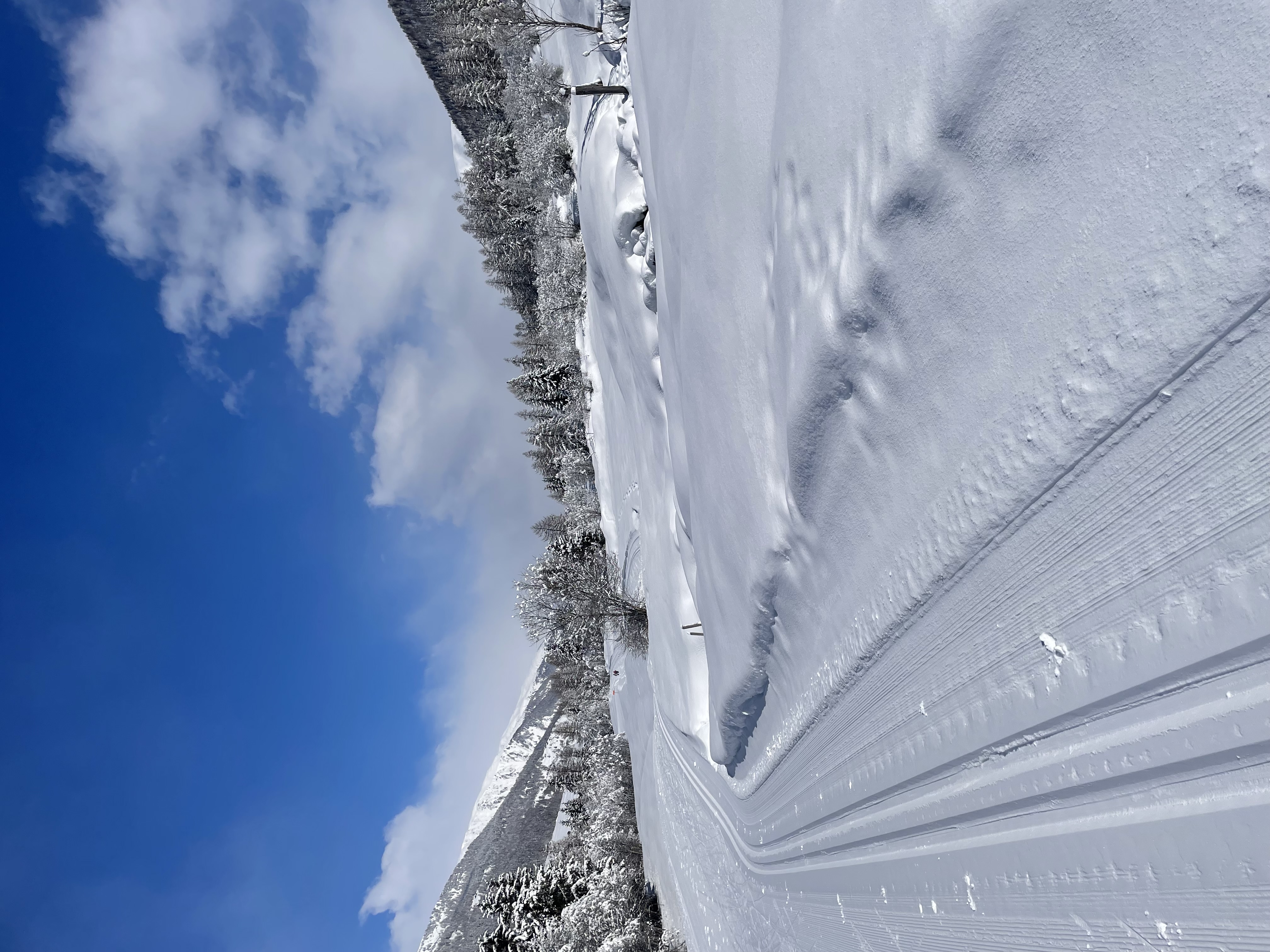 Perfekt präparierte Loipe