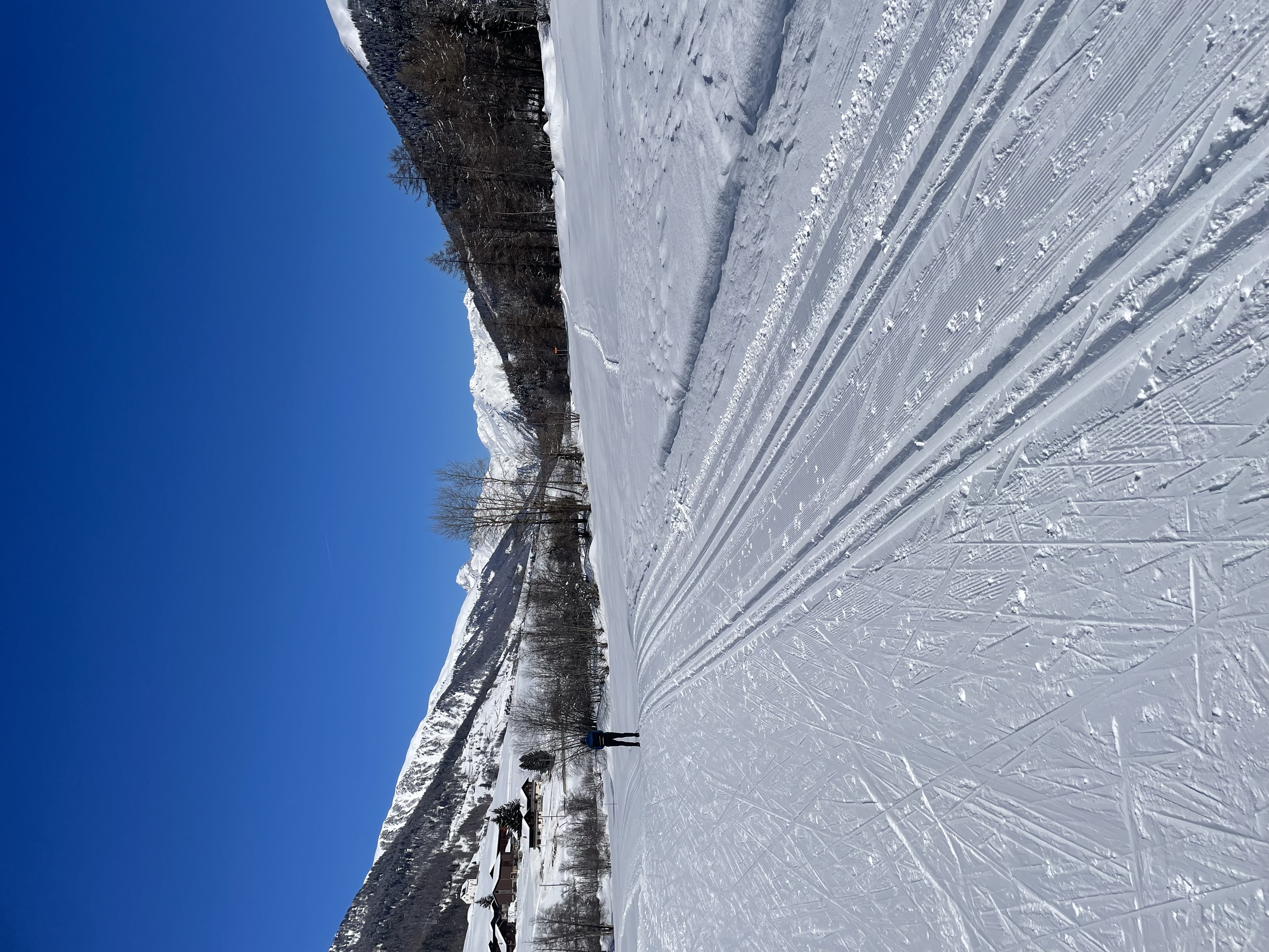 Langläufer auf der Loipe mit Bergpanorama